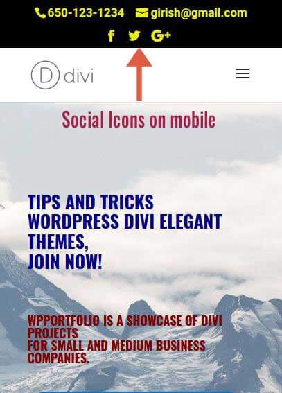 Social icons displayed on mobile - DIVI